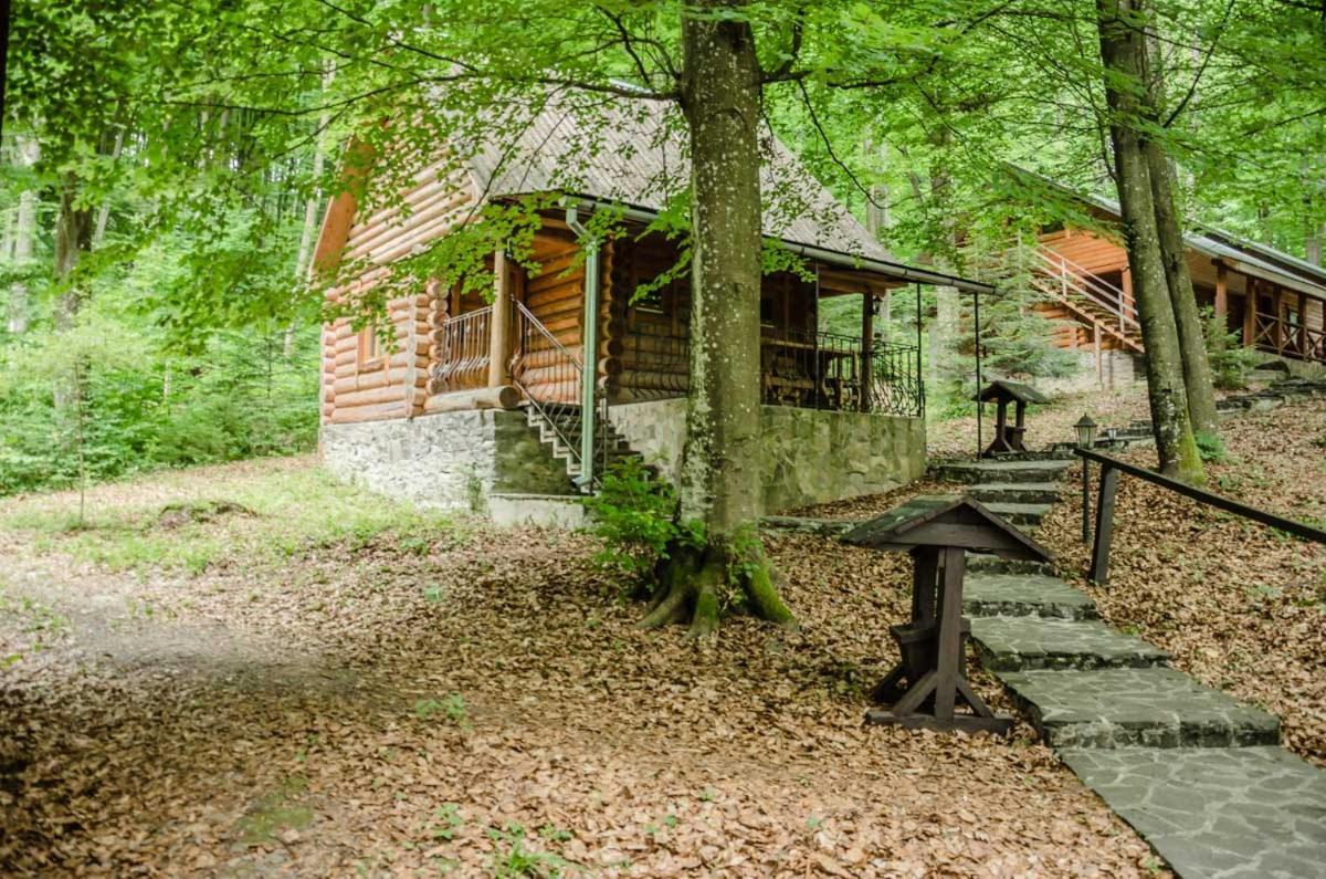 База Відпочинку Шиповець Hotel Poroshkovo Exterior photo