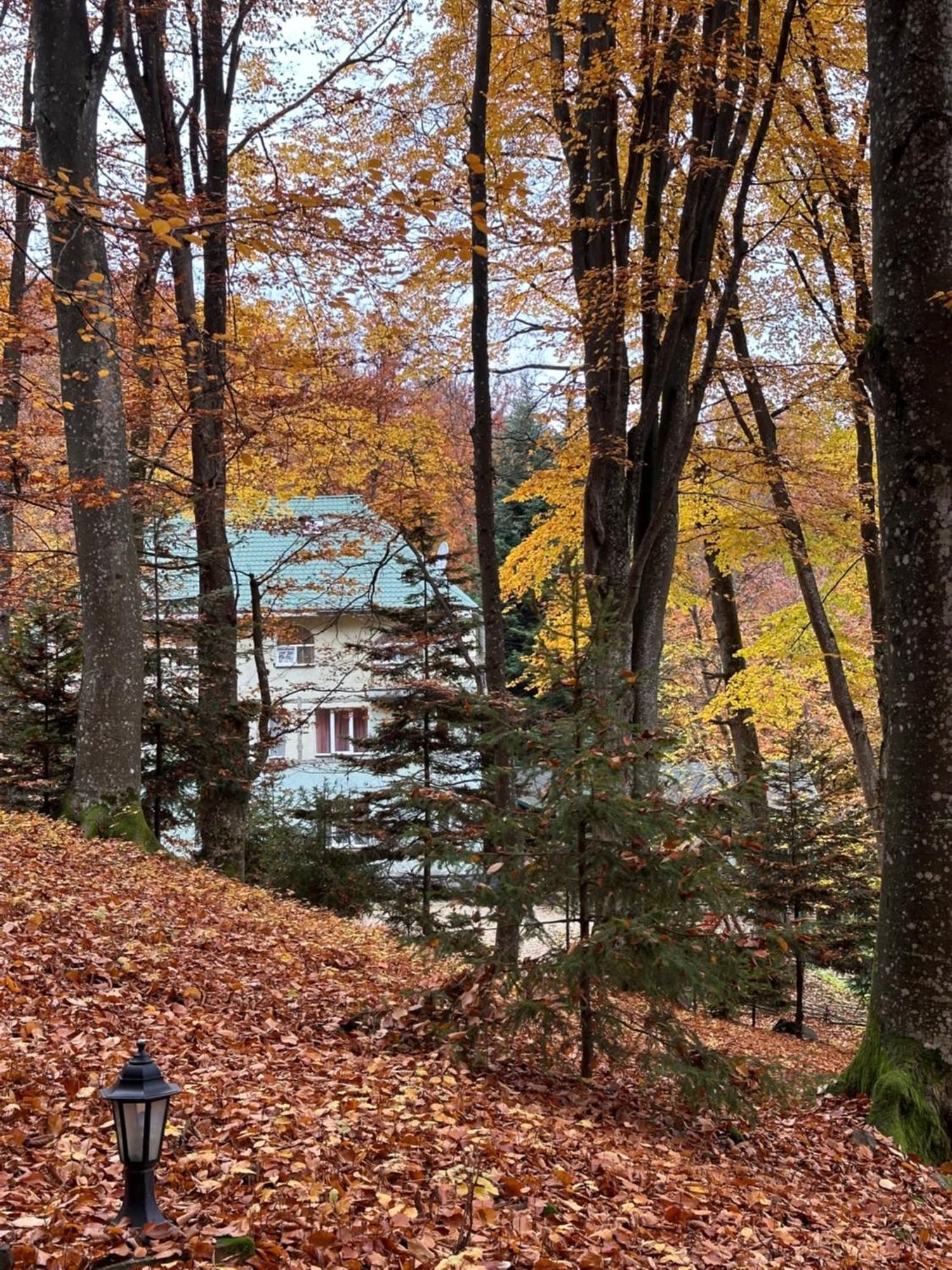 База Відпочинку Шиповець Poroshkovo Exterior photo